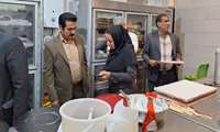 بازدید دکتر نویدیان عضو هیات رئیسه دانشگاه علوم پزشکی زاهدان به همراه تیم ستاد نوروزی و کارشناسان بهداشت محیط از شیرینی سرای سطح شهر